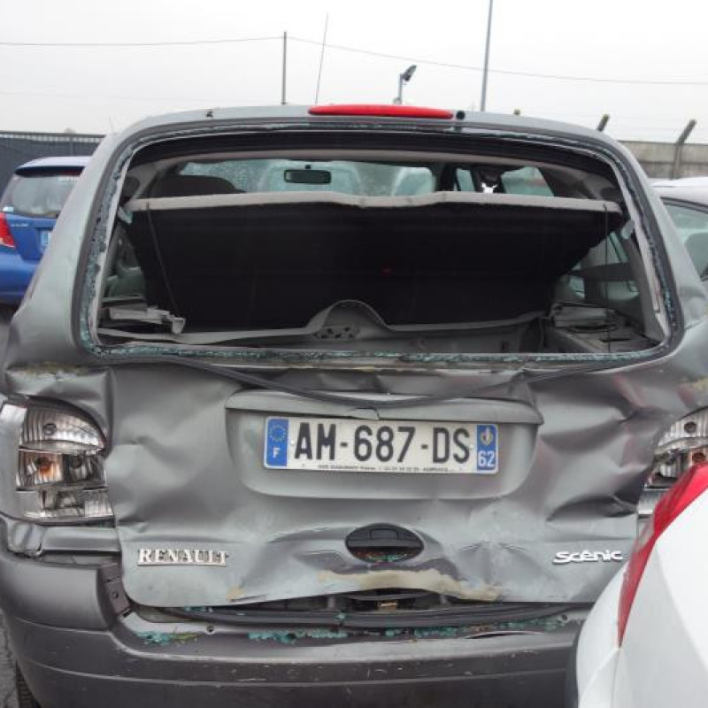 Plage arriere RENAULT SCENIC 1 Photo n°3