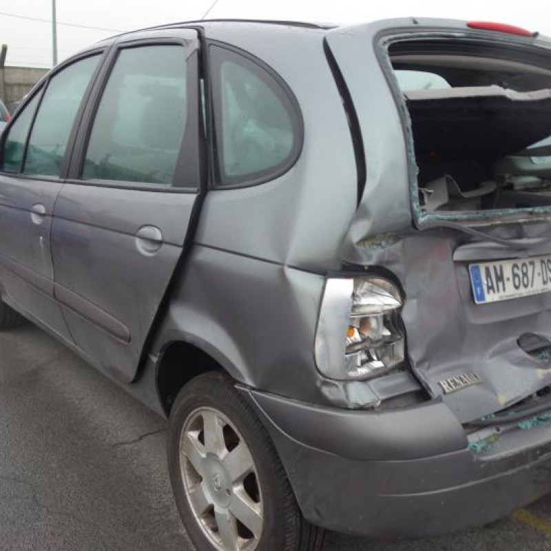 Plage arriere RENAULT SCENIC 1 Photo n°4