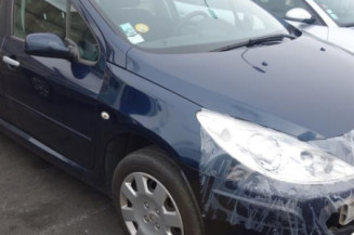 Vitre arriere droit PEUGEOT 307