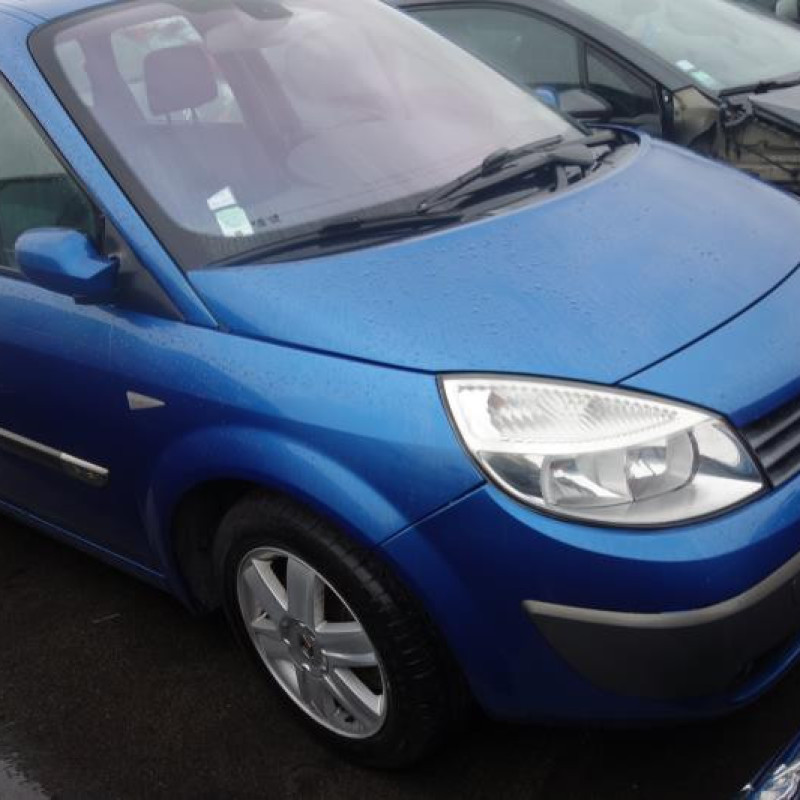 Aile avant gauche RENAULT GRAND SCENIC 2 Photo n°6