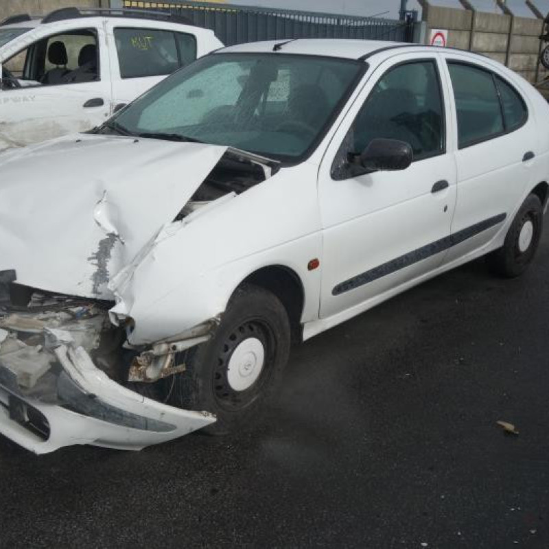 Custode arriere gauche (porte) RENAULT MEGANE Photo n°1