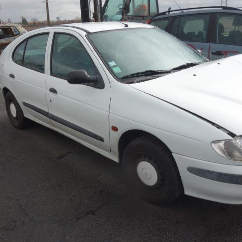 Custode arriere gauche (porte) RENAULT MEGANE Photo n°2