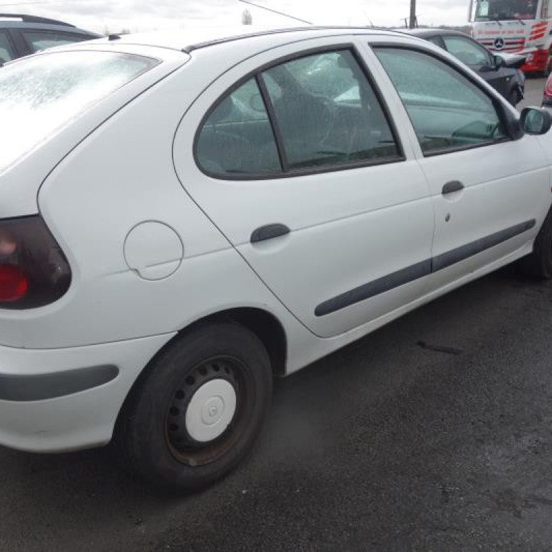 Custode arriere gauche (porte) RENAULT MEGANE Photo n°3