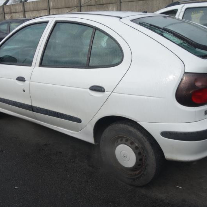 Custode arriere gauche (porte) RENAULT MEGANE Photo n°4