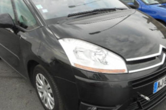 Custode arriere gauche CITROEN C4 PICASSO 1