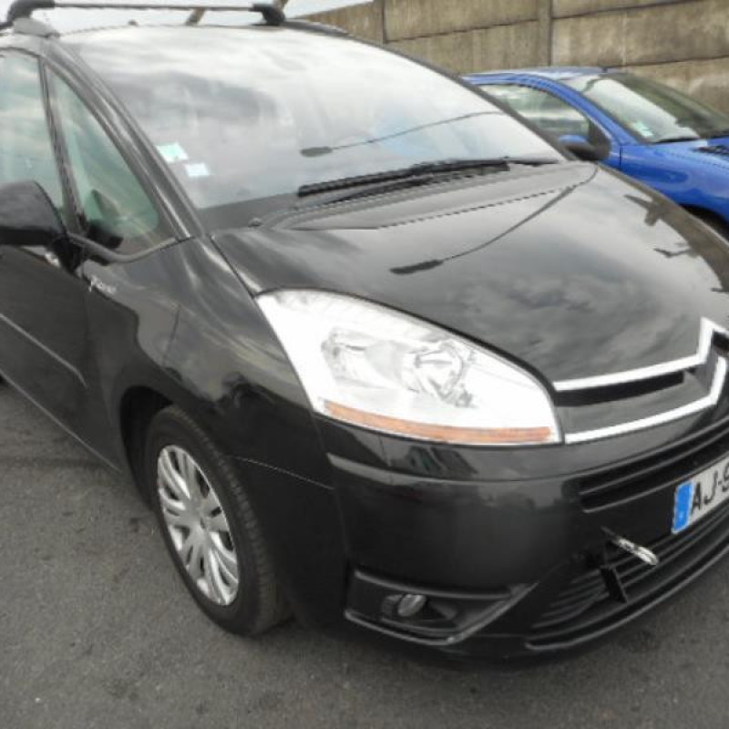 Custode arriere gauche CITROEN C4 PICASSO 1 Photo n°2