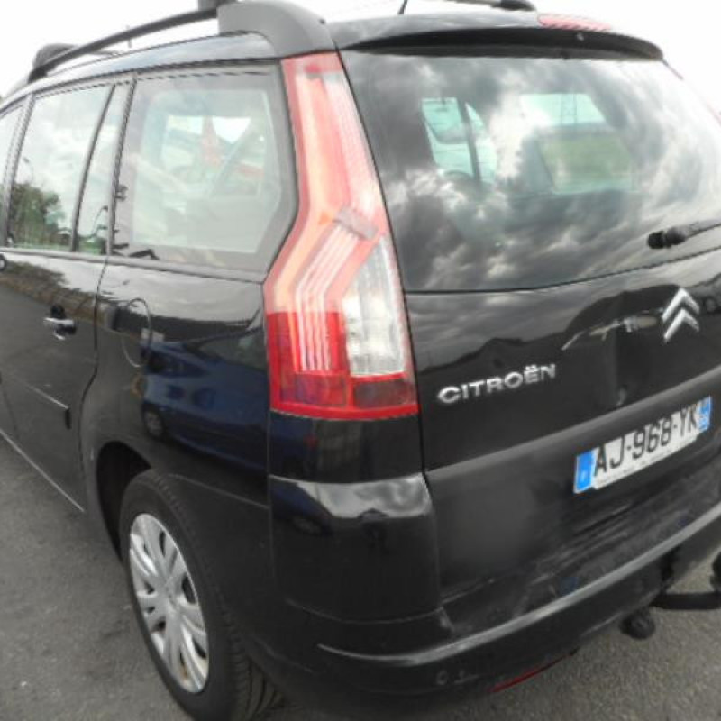 Custode arriere gauche CITROEN C4 PICASSO 1 Photo n°4