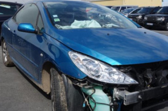 Custode arriere gauche PEUGEOT 307