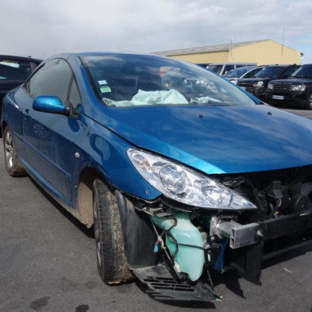 Custode arriere gauche PEUGEOT 307