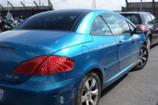 Custode arriere gauche PEUGEOT 307