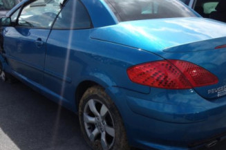 Custode arriere gauche PEUGEOT 307