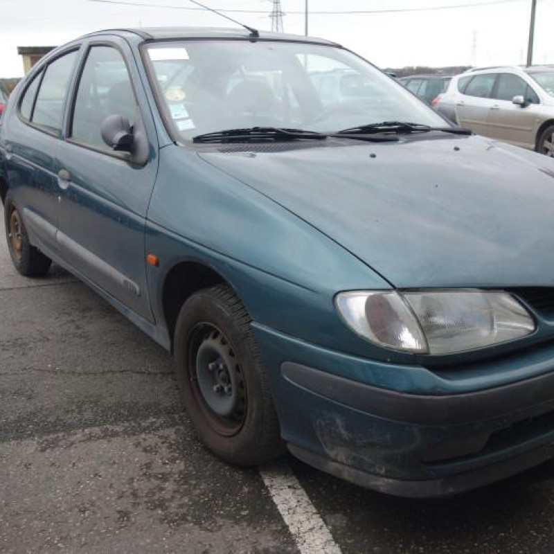 Custode arriere gauche (porte) RENAULT MEGANE Photo n°2