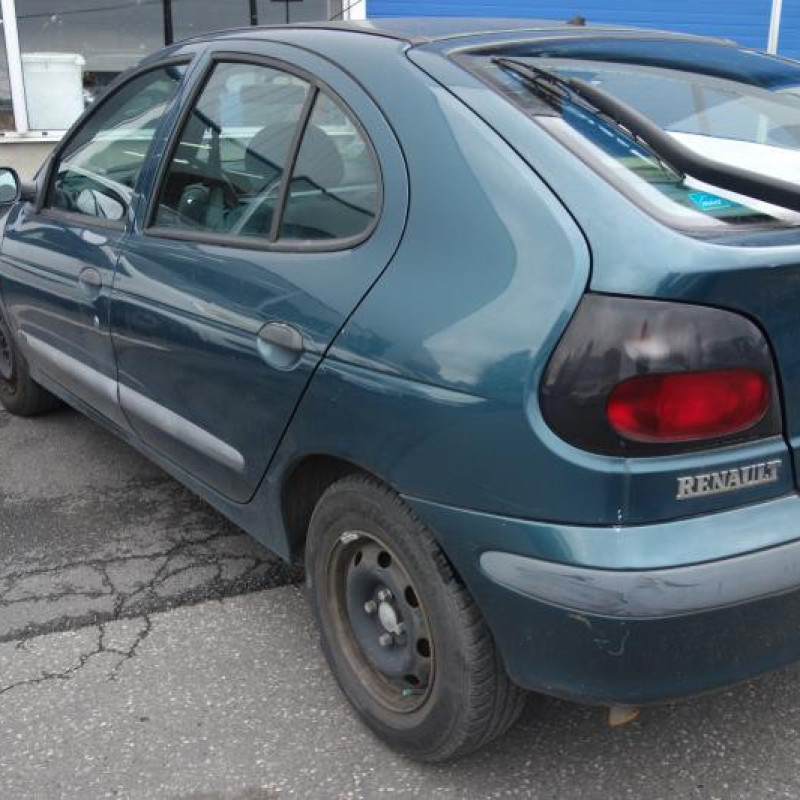 Custode arriere gauche (porte) RENAULT MEGANE Photo n°4