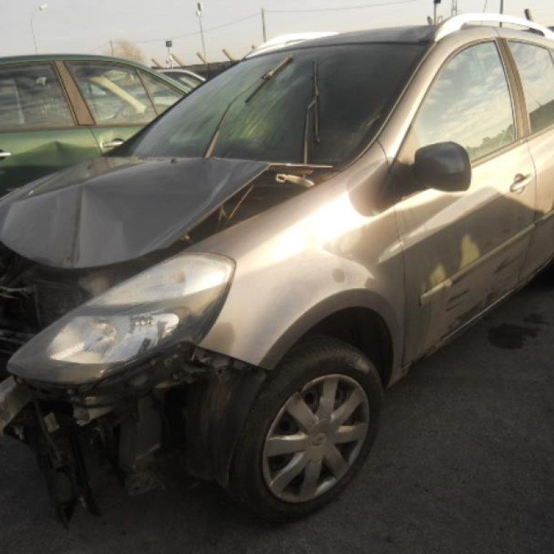 Custode arriere gauche (porte) RENAULT CLIO 3 Photo n°1