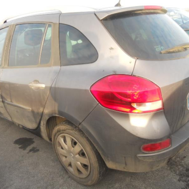 Custode arriere gauche (porte) RENAULT CLIO 3 Photo n°5