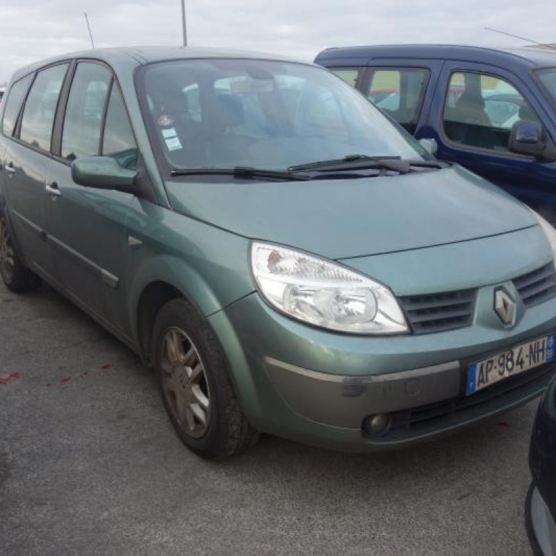 Etrier arriere gauche (freinage) RENAULT GRAND SCENIC 2 Photo n°2