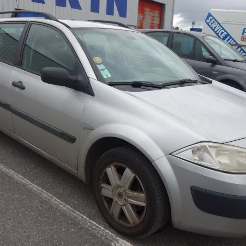 Custode arriere gauche (porte) RENAULT MEGANE 2 Photo n°2