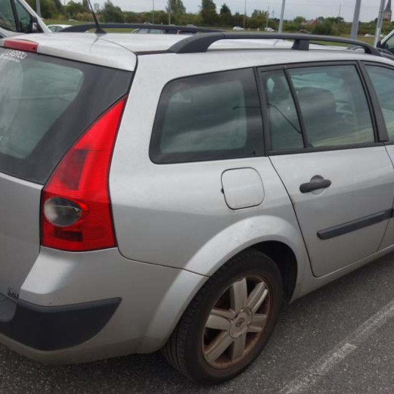 Custode arriere gauche (porte) RENAULT MEGANE 2 Photo n°3