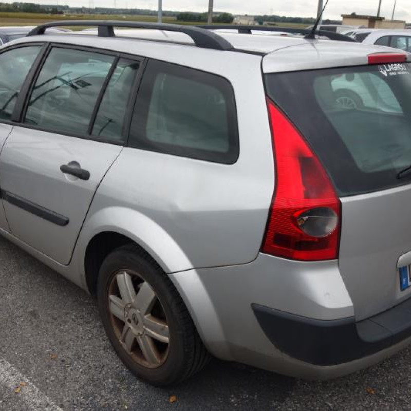 Custode arriere gauche (porte) RENAULT MEGANE 2 Photo n°4