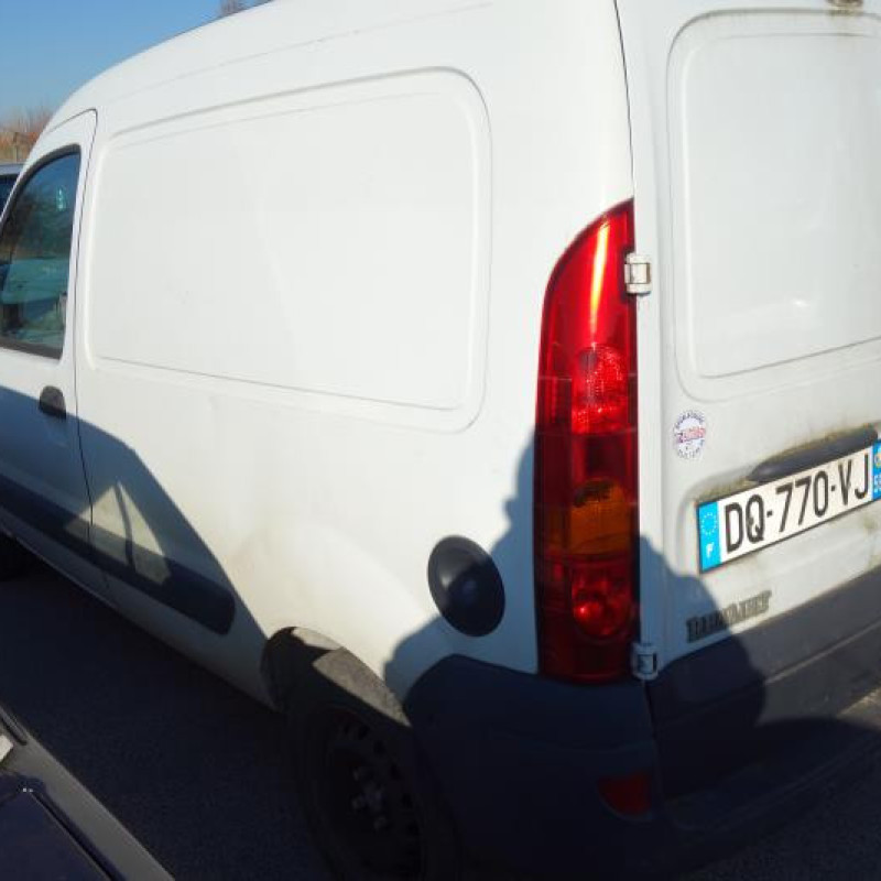 Porte de coffre gauche RENAULT KANGOO 1 Photo n°6