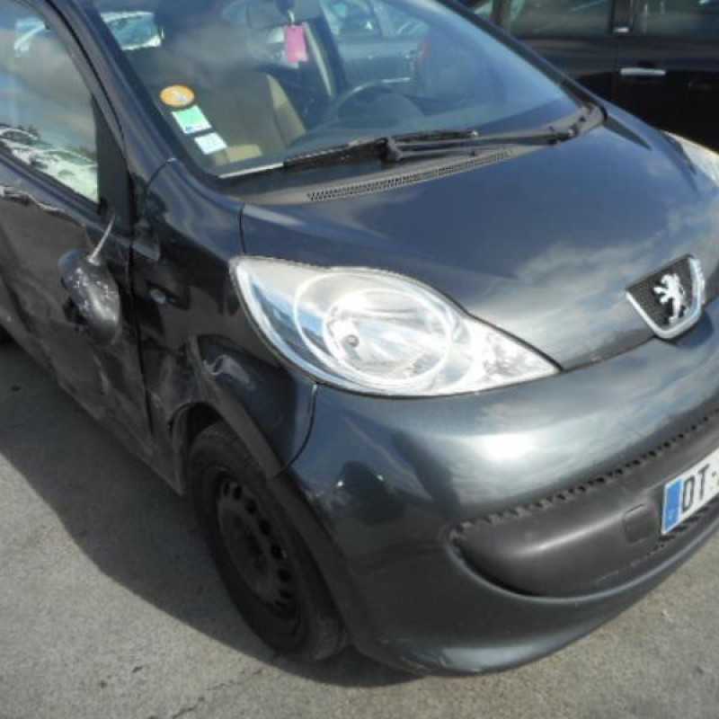 Poignee porte avant droit PEUGEOT 107 Photo n°5