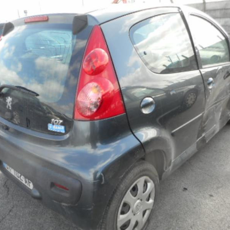 Poignee porte avant droit PEUGEOT 107 Photo n°7