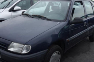 Custode arriere gauche (porte) CITROEN SAXO