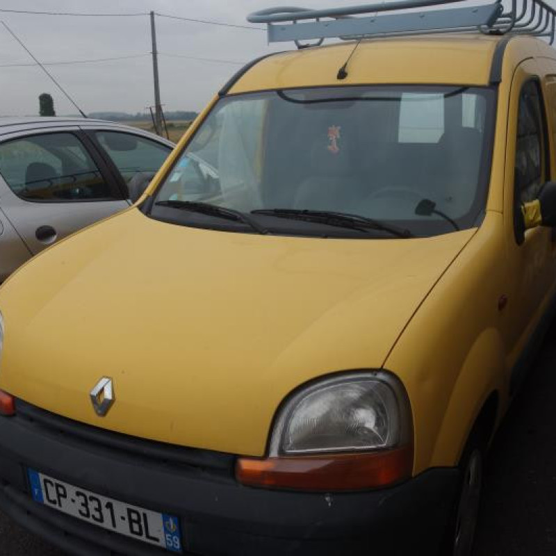 Porte de coffre gauche RENAULT KANGOO 1 Photo n°3