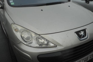 Leve vitre electrique arriere gauche PEUGEOT 307