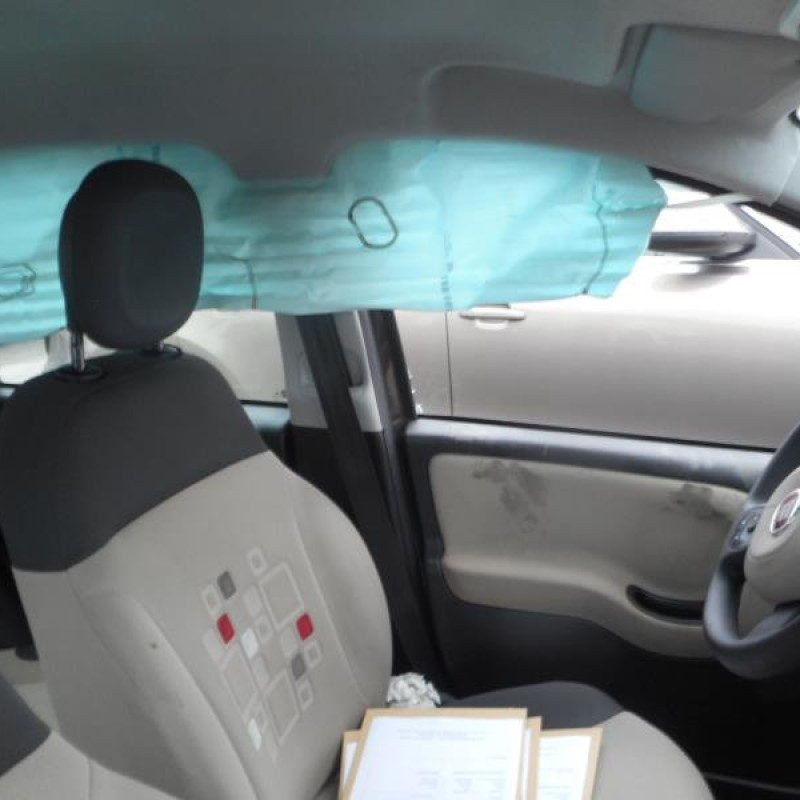 Poignee interieur arriere gauche FIAT PANDA 3 Photo n°9