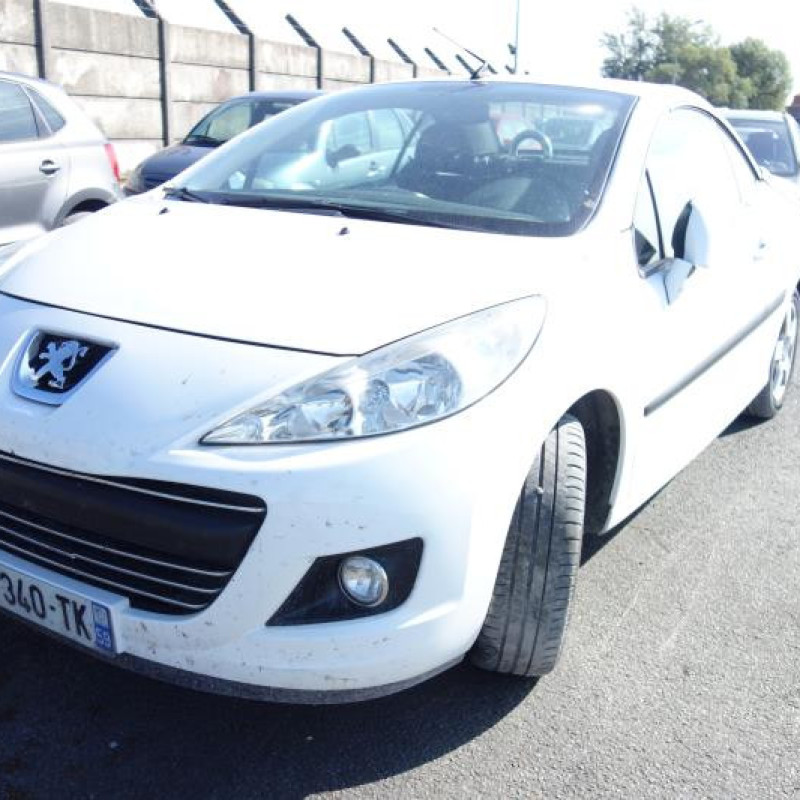 Custode arriere droit PEUGEOT 207 Photo n°1