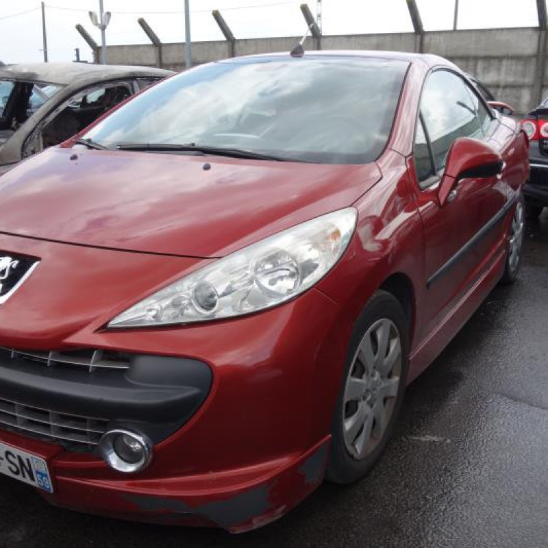 Custode arriere droit PEUGEOT 207 Photo n°1