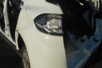 Poignee porte avant droit RENAULT SCENIC 4