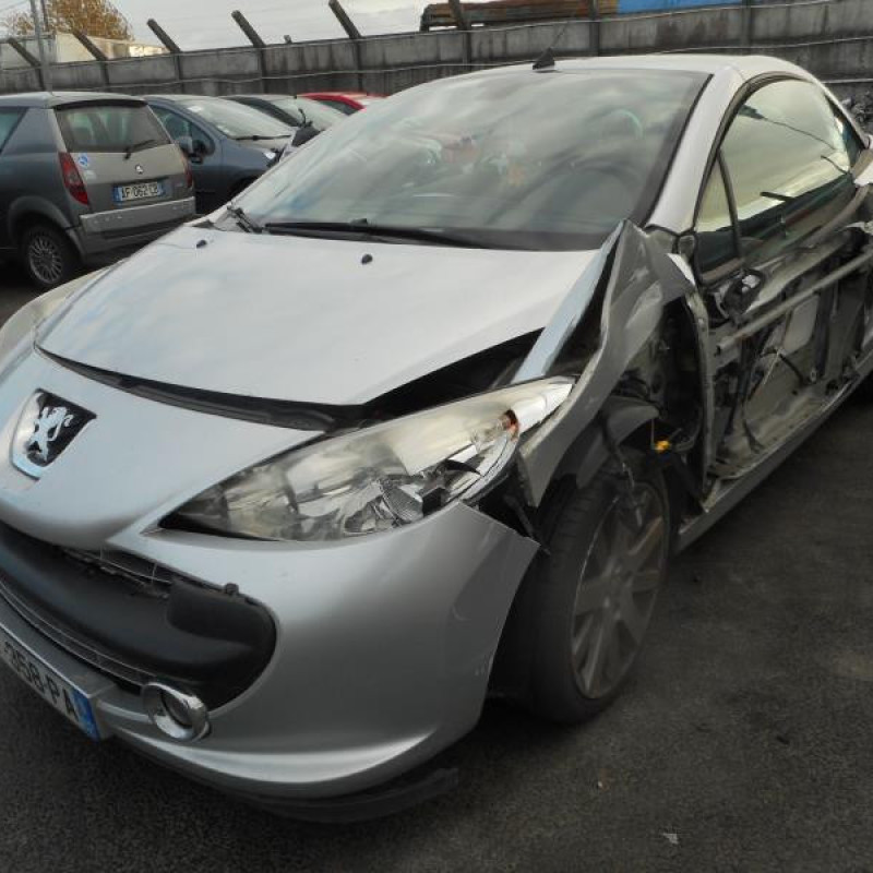 Custode arriere droit PEUGEOT 207 Photo n°1