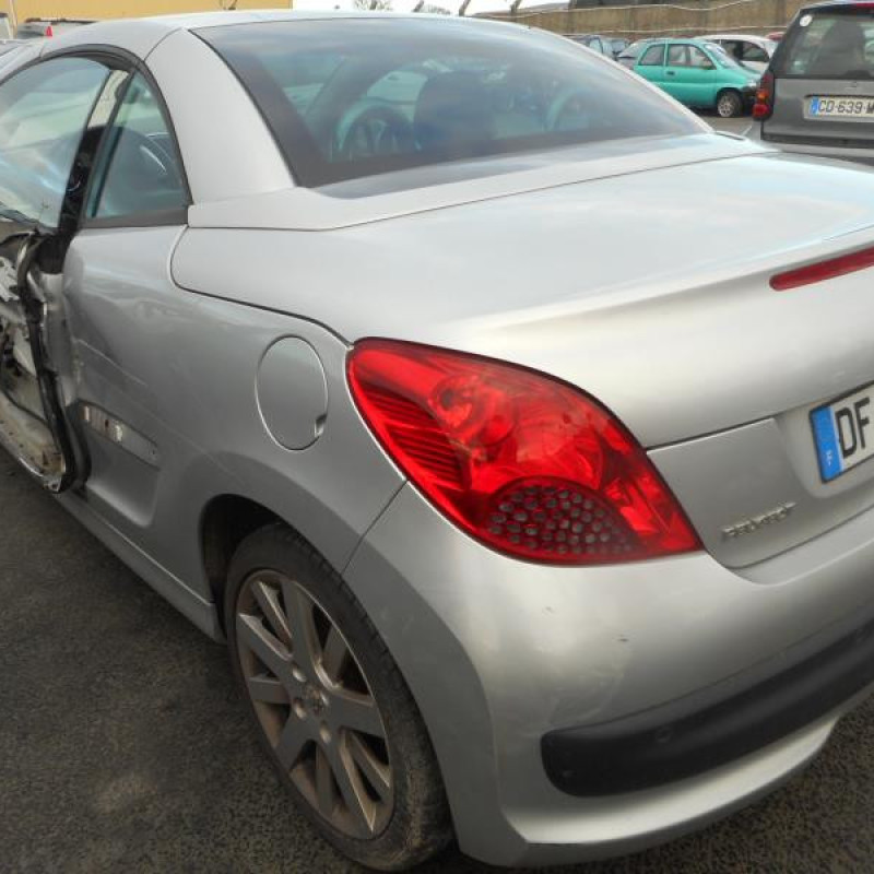 Custode arriere droit PEUGEOT 207 Photo n°5