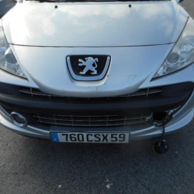 Custode arriere droit PEUGEOT 207 Photo n°2