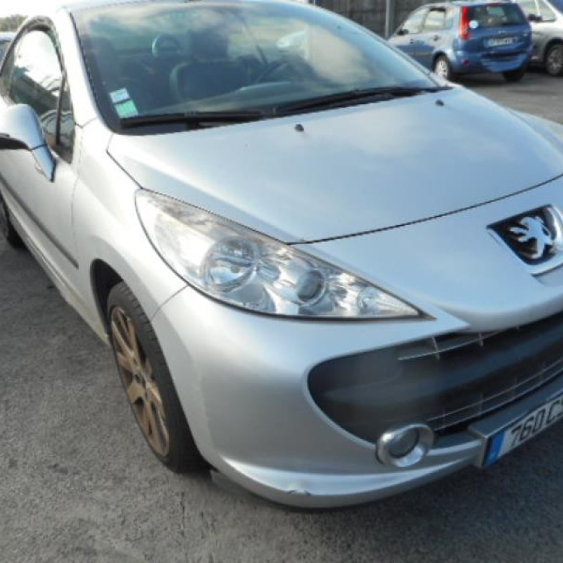 Custode arriere droit PEUGEOT 207 Photo n°3