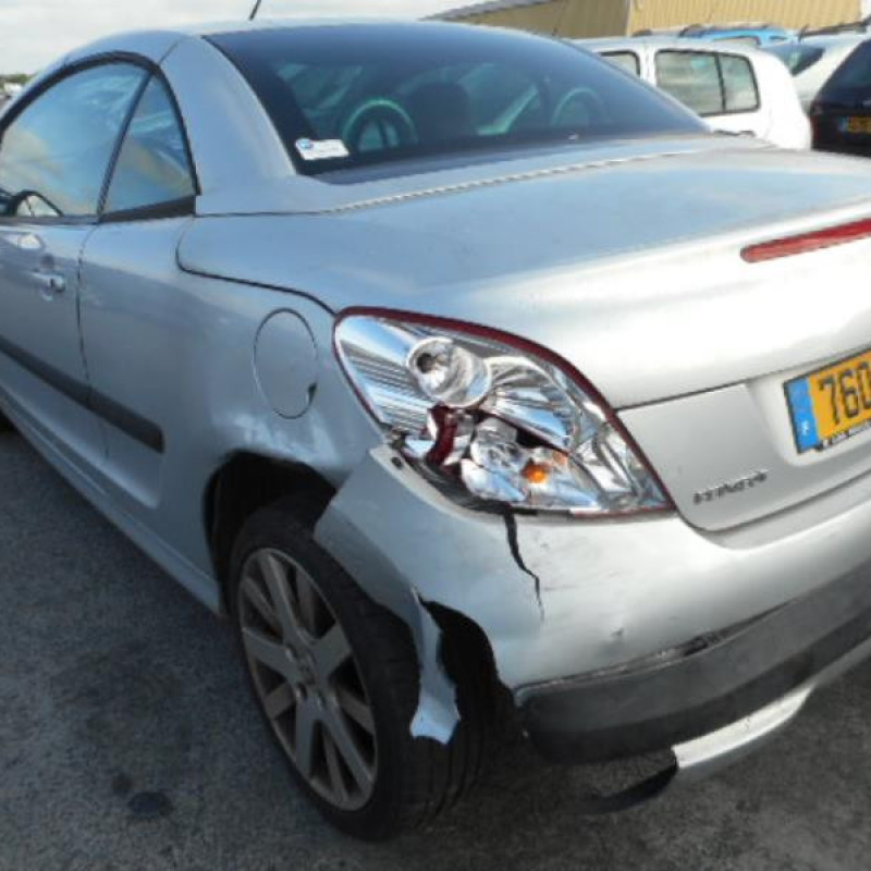 Custode arriere droit PEUGEOT 207 Photo n°5