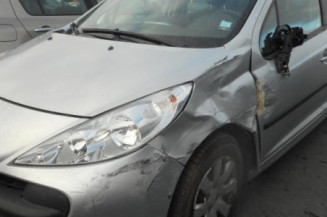 Poignee porte avant gauche PEUGEOT 207