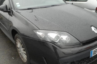 Charniere de porte avant gauche RENAULT LAGUNA 3