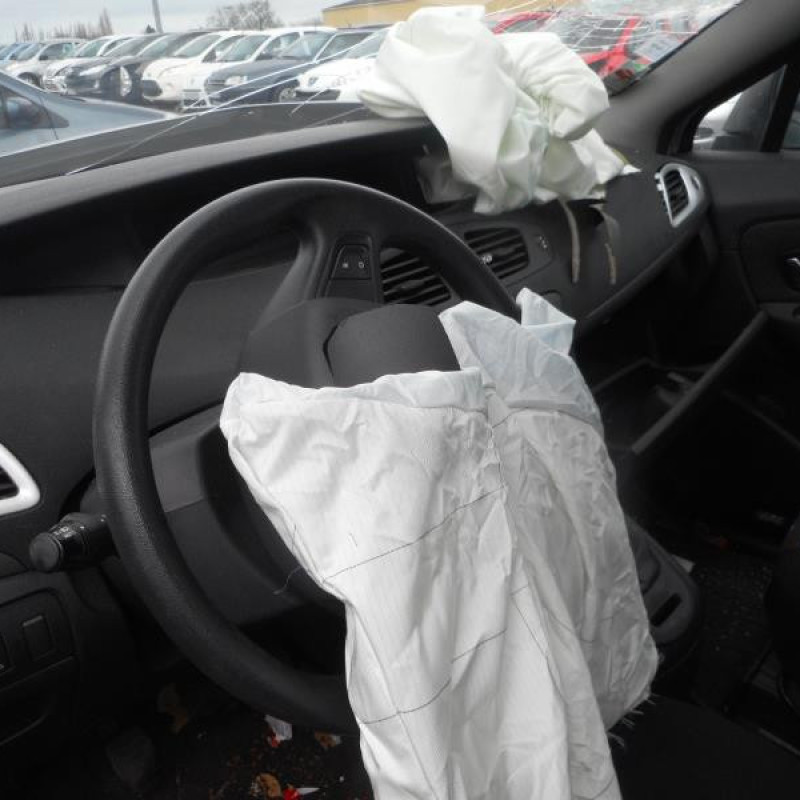 Poignee interieur avant droit RENAULT SCENIC 3 Photo n°9