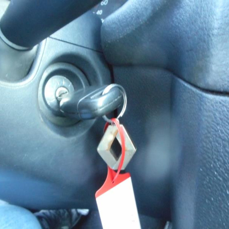 Poignee interieur arriere droit RENAULT CLIO 2 Photo n°11