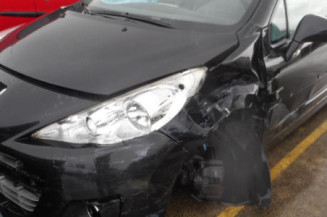 Custode arriere droit PEUGEOT 207