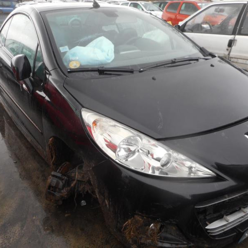 Custode arriere droit PEUGEOT 207 Photo n°4