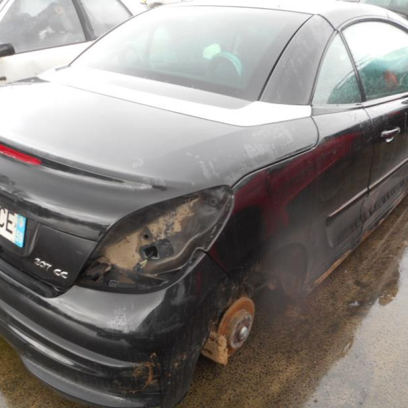 Custode arriere droit PEUGEOT 207 Photo n°5