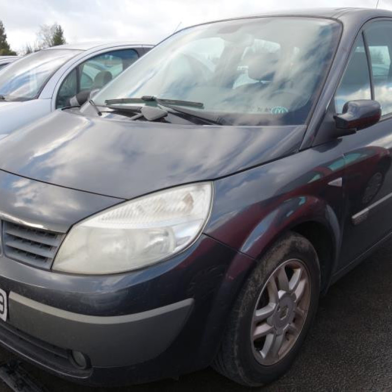 Commande regulateur vitesse RENAULT SCENIC 2 Photo n°4