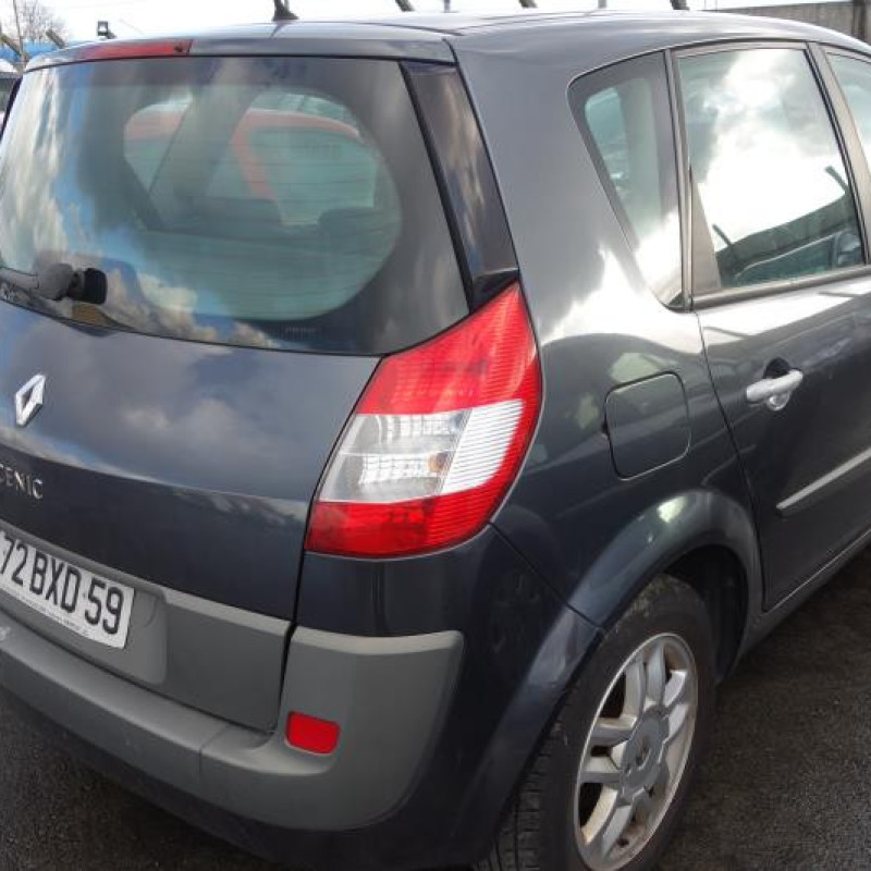 Commande regulateur vitesse RENAULT SCENIC 2 Photo n°6