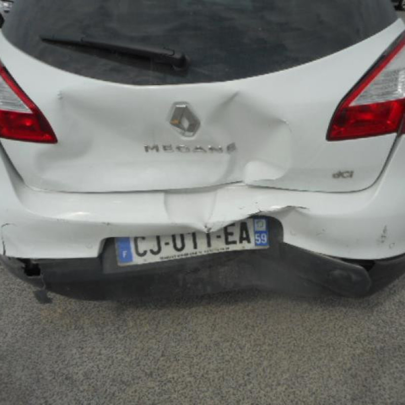 Charniere de porte avant droit RENAULT MEGANE 3 Photo n°4