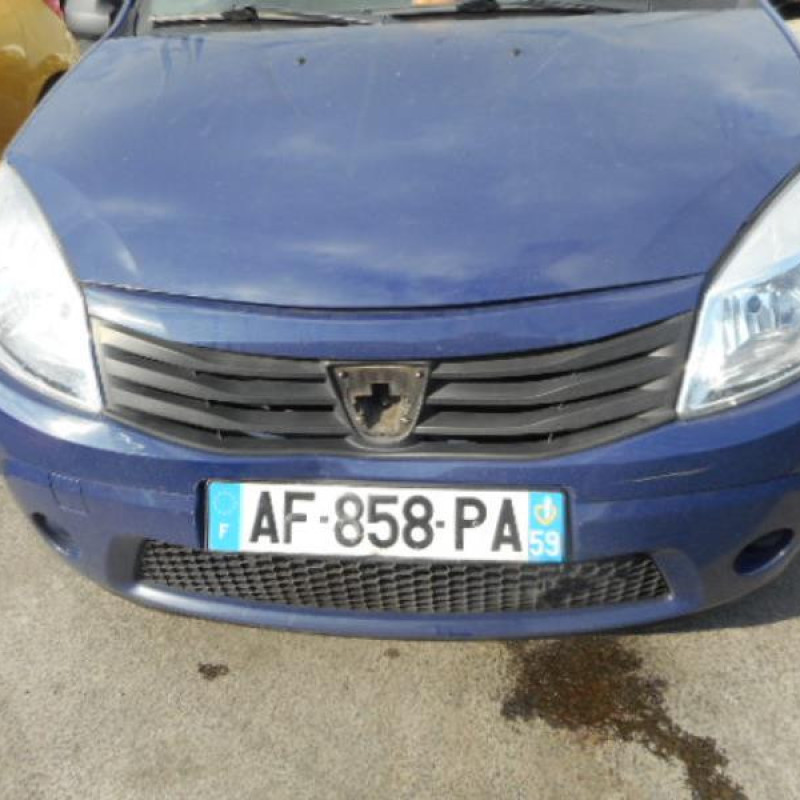 Charniere de porte arriere gauche DACIA SANDERO 1 Photo n°2