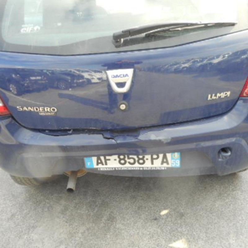 Charniere de porte arriere gauche DACIA SANDERO 1 Photo n°5